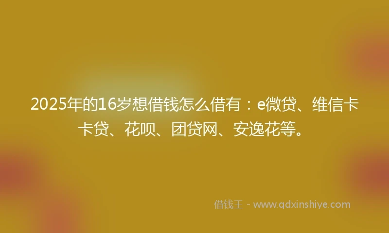 2025年的16岁想借钱怎么借有：e微贷、维信卡卡贷、花呗、团贷网、安逸花等。