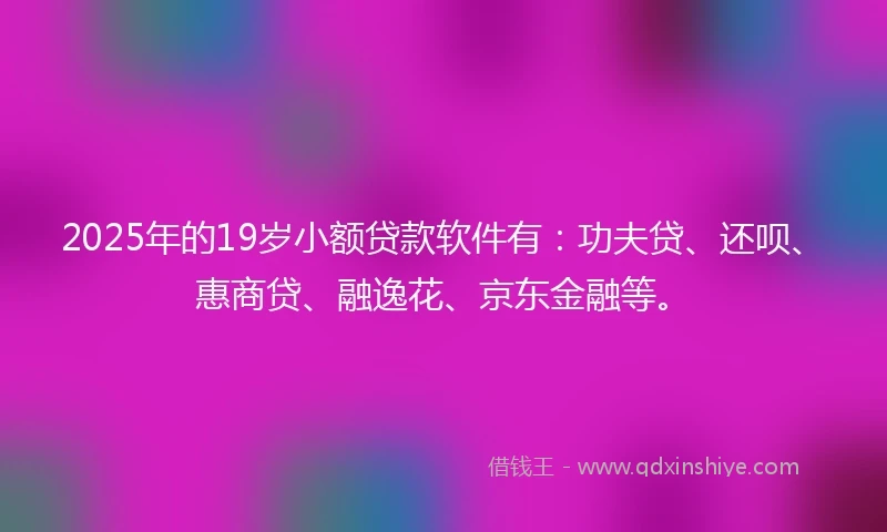2025年的19岁小额贷款软件有：功夫贷、还呗、惠商贷、融逸花、京东金融等。