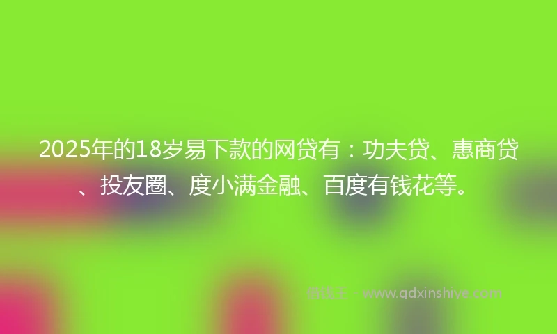 2025年的18岁易下款的网贷有：功夫贷、惠商贷、投友圈、度小满金融、百度有钱花等。