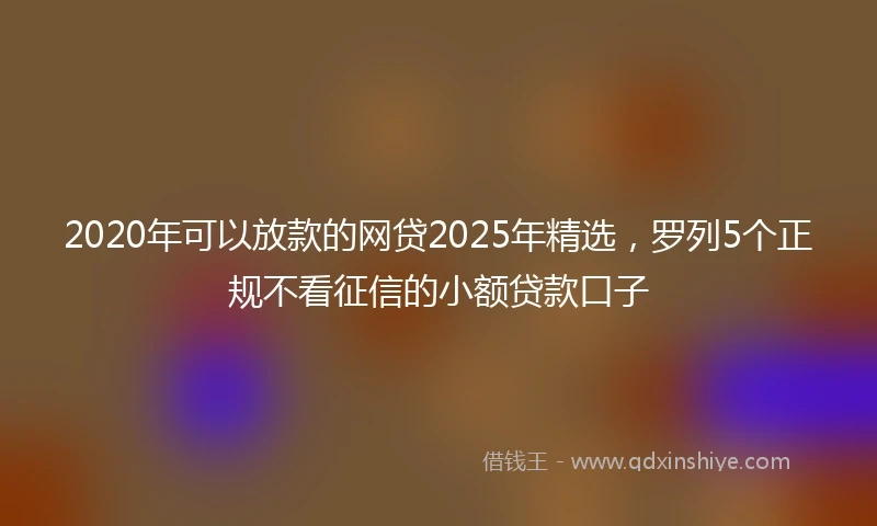 2020年可以放款的网贷2025年精选，罗列5个正规不看征信的小额贷款口子