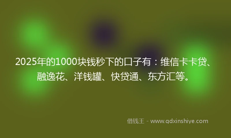 2025年的1000块钱秒下的口子有：维信卡卡贷、融逸花、洋钱罐、快贷通、东方汇等。