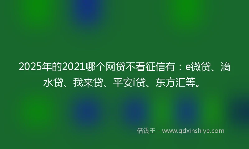 2025年的2021哪个网贷不看征信有：e微贷、滴水贷、我来贷、平安i贷、东方汇等。