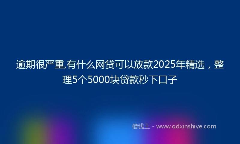 逾期很严重,有什么网贷可以放款2025年精选，整理5个5000块贷款秒下口子
