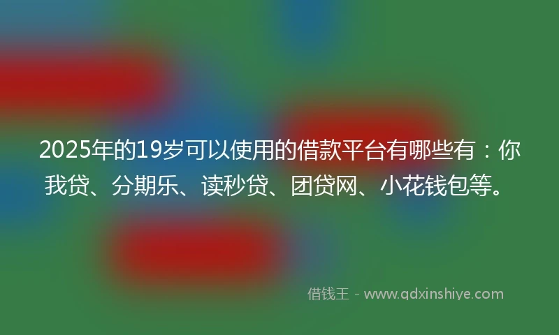 2025年的19岁可以使用的借款平台有哪些有：你我贷、分期乐、读秒贷、团贷网、小花钱包等。