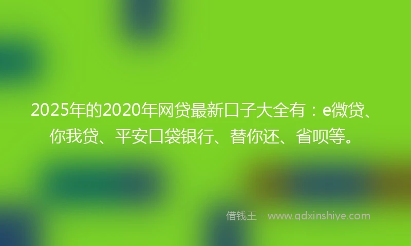 2025年的2020年网贷最新口子大全有：e微贷、你我贷、平安口袋银行、替你还、省呗等。