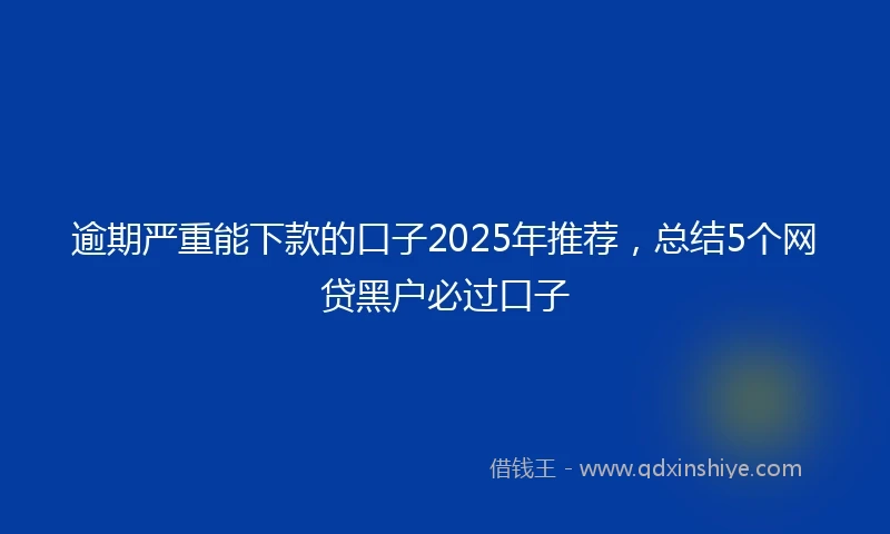 逾期严重能下款的口子2025年推荐，总结5个网贷黑户必过口子