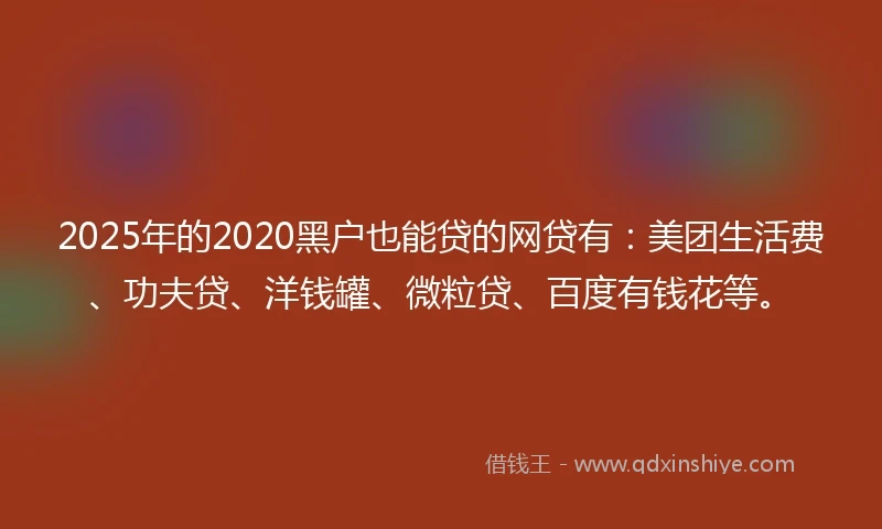2025年的2020黑户也能贷的网贷有：美团生活费、功夫贷、洋钱罐、微粒贷、百度有钱花等。