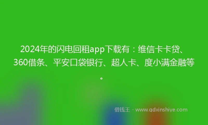2024年的闪电回租app下载有：维信卡卡贷、360借条、平安口袋银行、超人卡、度小满金融等。