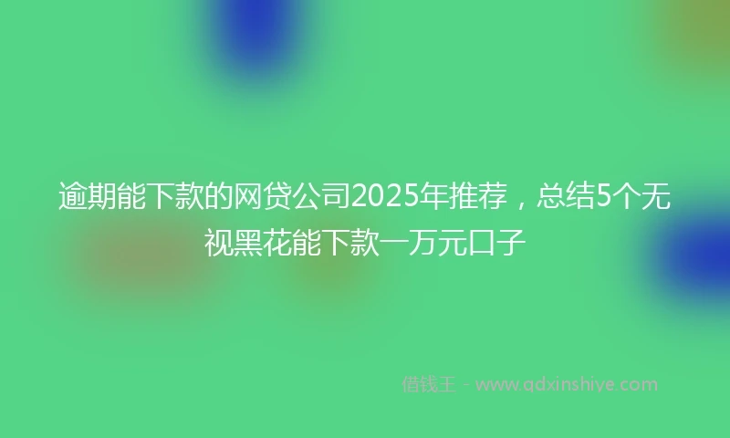 逾期能下款的网贷公司2025年推荐，总结5个无视黑花能下款一万元口子