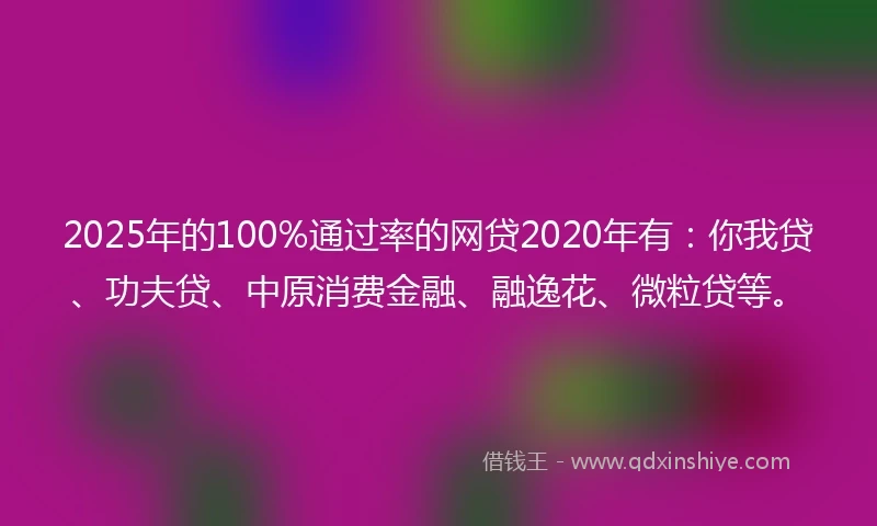 2025年的100%通过率的网贷2020年有：你我贷、功夫贷、中原消费金融、融逸花、微粒贷等。