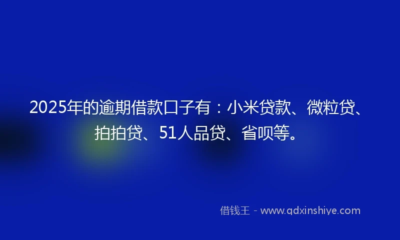 2025年的逾期借款口子有：小米贷款、微粒贷、拍拍贷、51人品贷、省呗等。