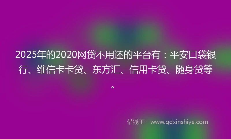 2025年的2020网贷不用还的平台有：平安口袋银行、维信卡卡贷、东方汇、信用卡贷、随身贷等。