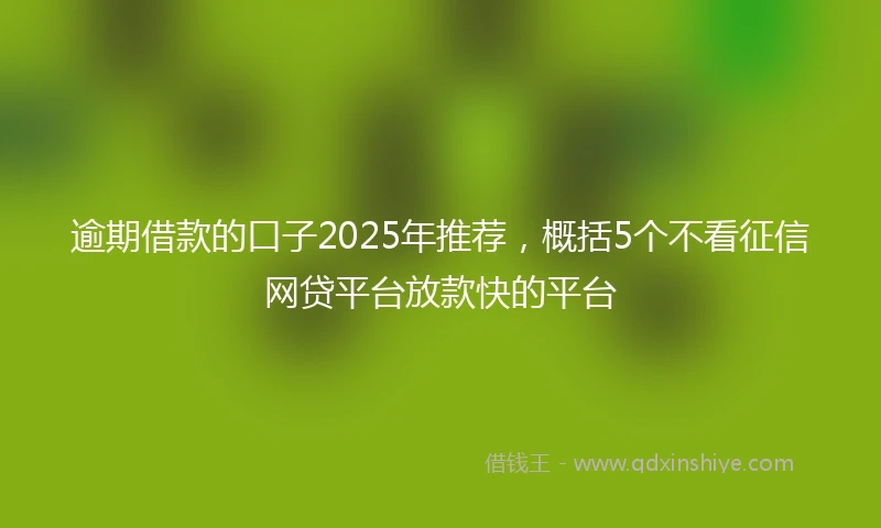 逾期借款的口子2025年推荐，概括5个不看征信网贷平台放款快的平台