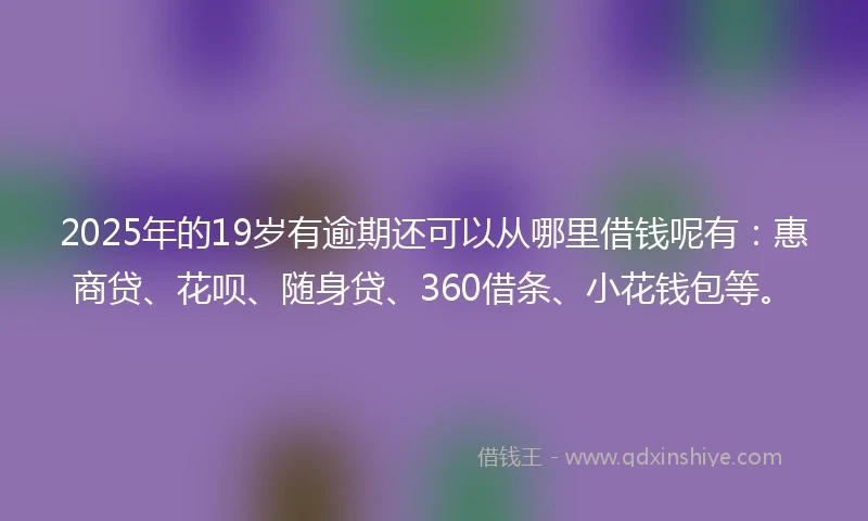 2025年的19岁有逾期还可以从哪里借钱呢有：惠商贷、花呗、随身贷、360借条、小花钱包等。