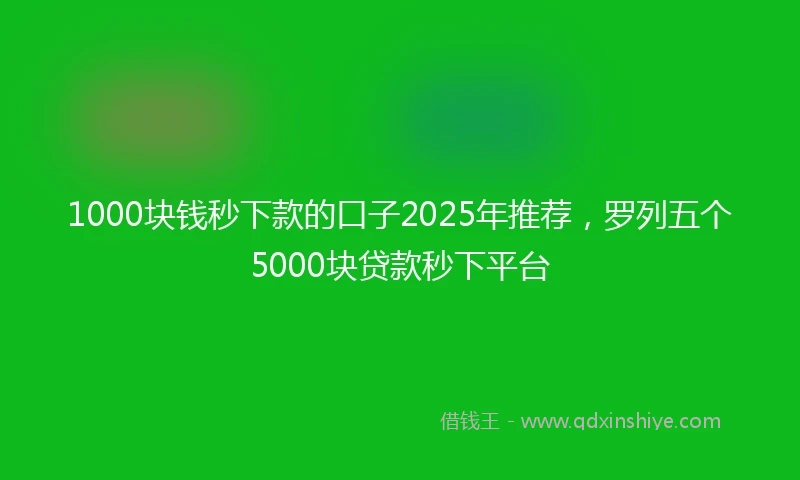 1000块钱秒下款的口子2025年推荐，罗列五个5000块贷款秒下平台