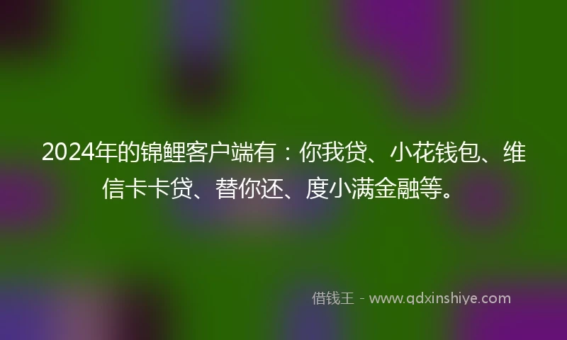 2024年的锦鲤客户端有：你我贷、小花钱包、维信卡卡贷、替你还、度小满金融等。