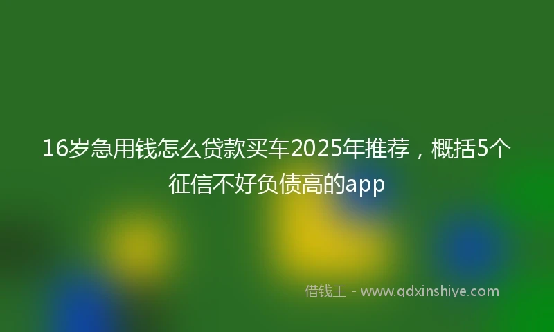 16岁急用钱怎么贷款买车2025年推荐，概括5个征信不好负债高的app