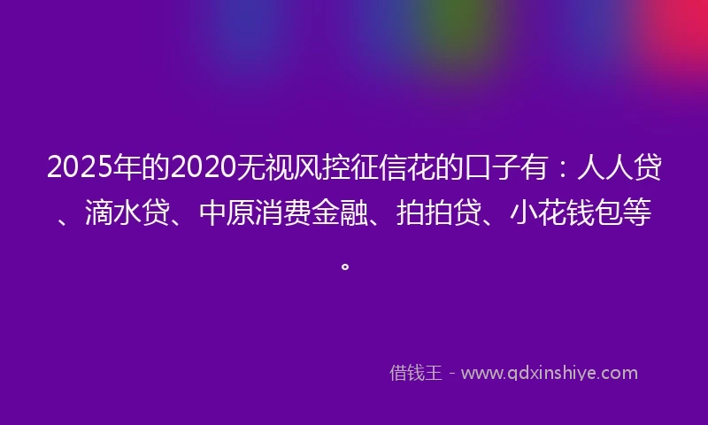 2025年的2020无视风控征信花的口子有：人人贷、滴水贷、中原消费金融、拍拍贷、小花钱包等。