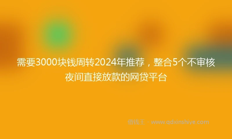 需要3000块钱周转2024年推荐，整合5个不审核夜间直接放款的网贷平台