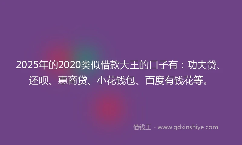 2025年的2020类似借款大王的口子有：功夫贷、还呗、惠商贷、小花钱包、百度有钱花等。