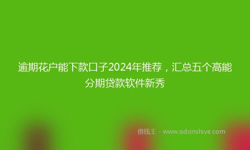 逾期花户能下款口子2024年推荐，汇总五个高能分期贷款软件新秀