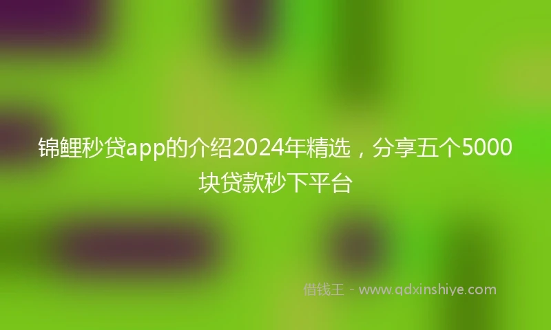 锦鲤秒贷app的介绍2024年精选，分享五个5000块贷款秒下平台