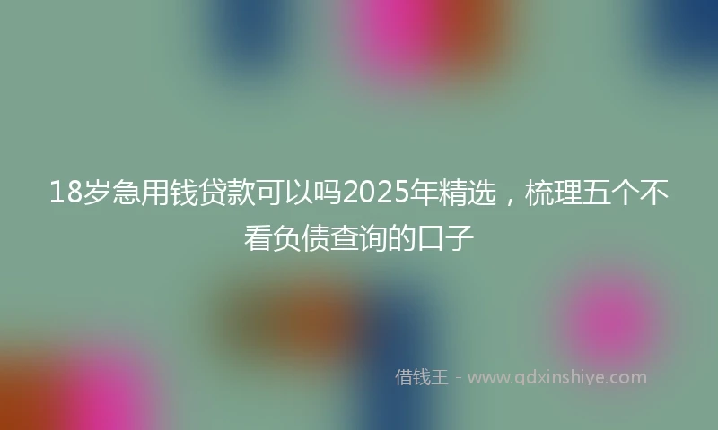 18岁急用钱贷款可以吗2025年精选，梳理五个不看负债查询的口子