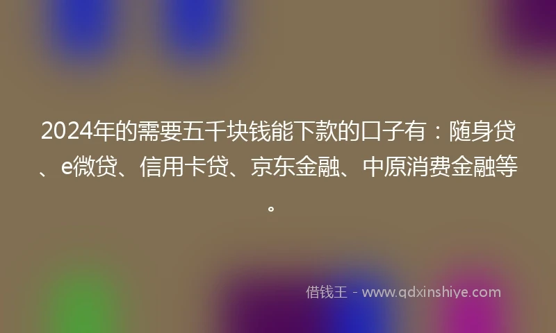 2024年的需要五千块钱能下款的口子有：随身贷、e微贷、信用卡贷、京东金融、中原消费金融等。