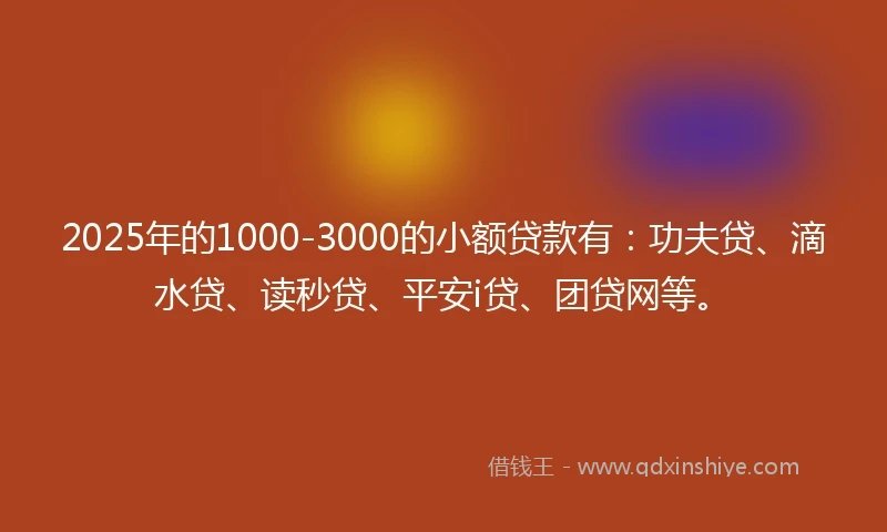 2025年的1000-3000的小额贷款有：功夫贷、滴水贷、读秒贷、平安i贷、团贷网等。