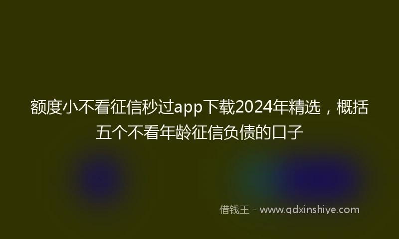 额度小不看征信秒过app下载2024年精选，概括五个不看年龄征信负债的口子