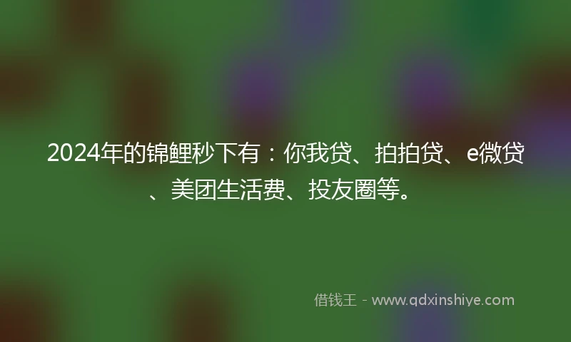 2024年的锦鲤秒下有：你我贷、拍拍贷、e微贷、美团生活费、投友圈等。