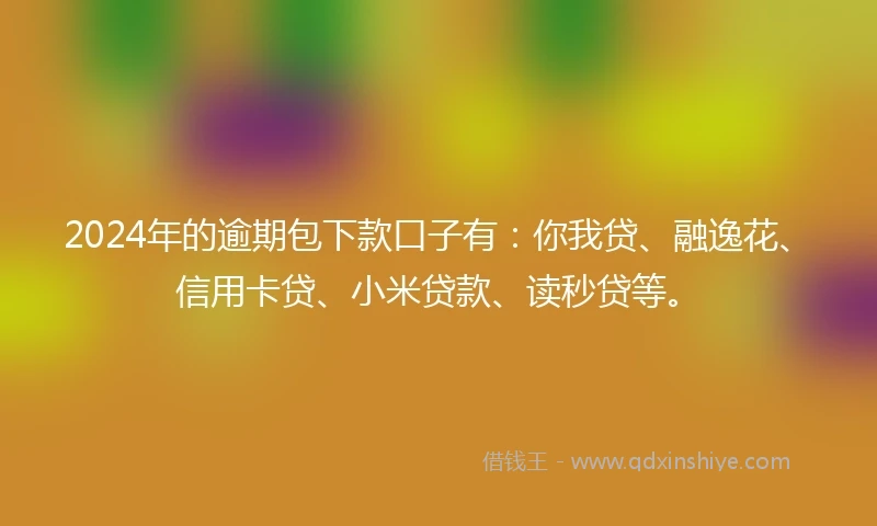 2024年的逾期包下款口子有：你我贷、融逸花、信用卡贷、小米贷款、读秒贷等。