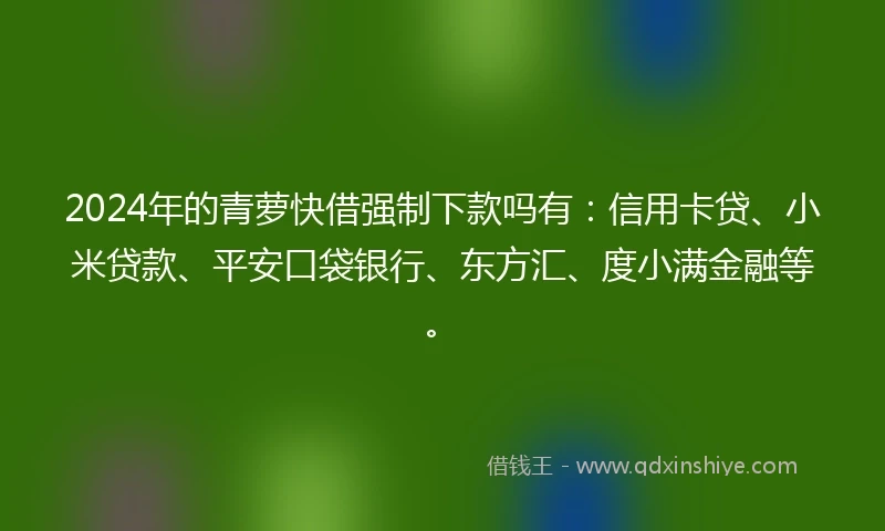 2024年的青萝快借强制下款吗有：信用卡贷、小米贷款、平安口袋银行、东方汇、度小满金融等。