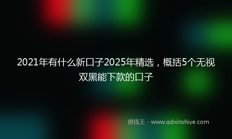2021年有什么新口子2025年精选，概括5个无视双黑能下款的口子
