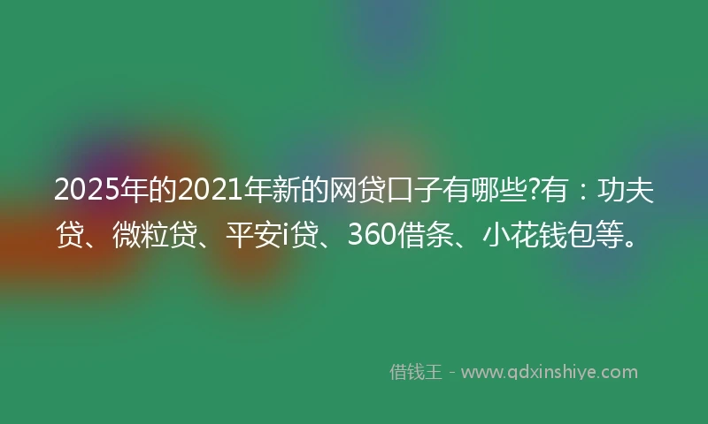 2025年的2021年新的网贷口子有哪些?有：功夫贷、微粒贷、平安i贷、360借条、小花钱包等。