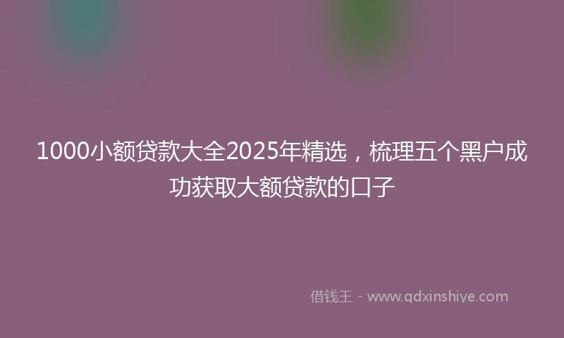 1000小额贷款大全2025年精选，梳理五个黑户成功获取大额贷款的口子