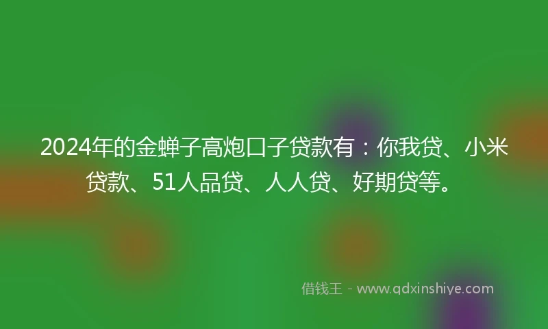 2024年的金蝉子高炮口子贷款有：你我贷、小米贷款、51人品贷、人人贷、好期贷等。