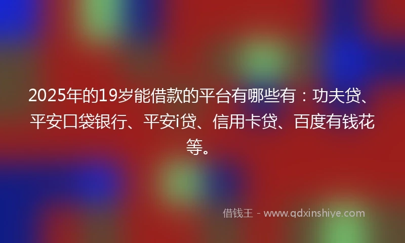 2025年的19岁能借款的平台有哪些有：功夫贷、平安口袋银行、平安i贷、信用卡贷、百度有钱花等。
