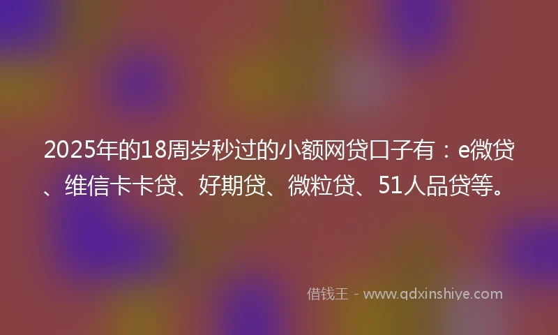2025年的18周岁秒过的小额网贷口子有：e微贷、维信卡卡贷、好期贷、微粒贷、51人品贷等。