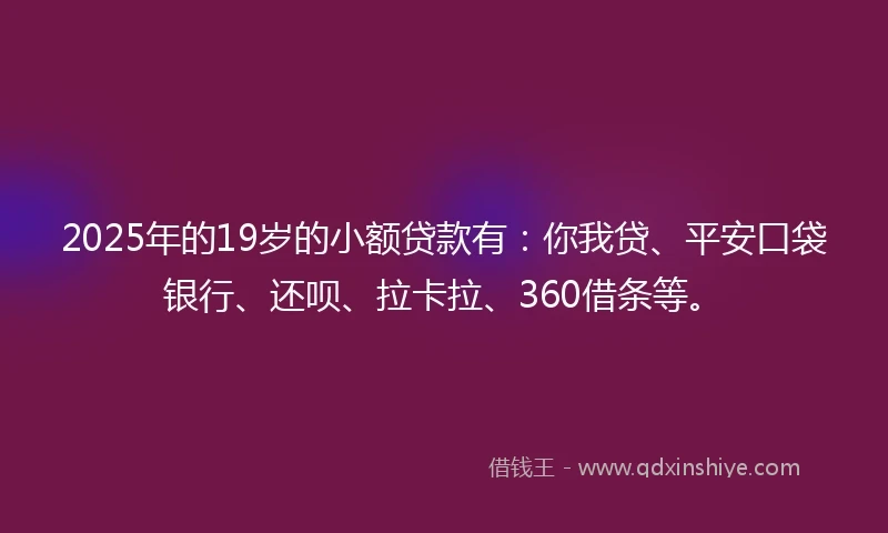 2025年的19岁的小额贷款有：你我贷、平安口袋银行、还呗、拉卡拉、360借条等。