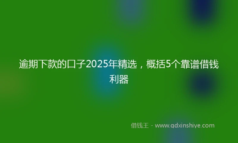 逾期下款的口子2025年精选，概括5个靠谱借钱利器
