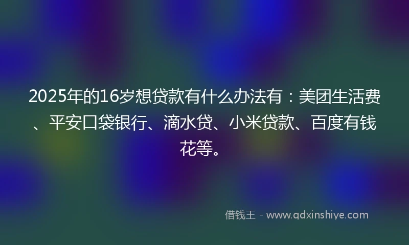 2025年的16岁想贷款有什么办法有：美团生活费、平安口袋银行、滴水贷、小米贷款、百度有钱花等。