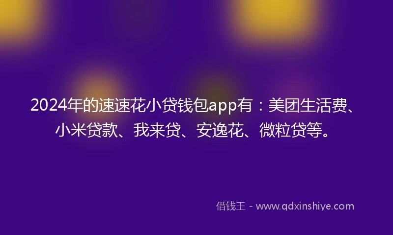 2024年的速速花小贷钱包app有：美团生活费、小米贷款、我来贷、安逸花、微粒贷等。