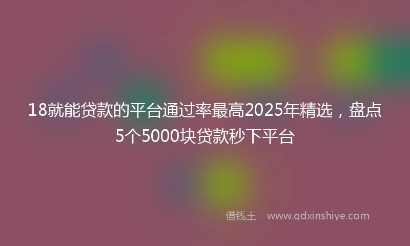 18就能贷款的平台通过率最高2025年精选，盘点5个5000块贷款秒下平台