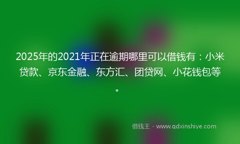 2025年的2021年正在逾期哪里可以借钱有：小米贷款、京东金融、东方汇、团贷网、小花钱包等。