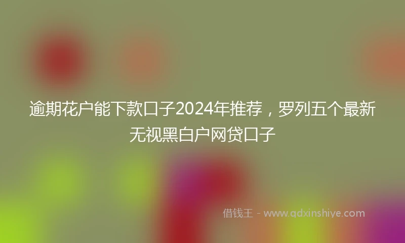 逾期花户能下款口子2024年推荐，罗列五个最新无视黑白户网贷口子