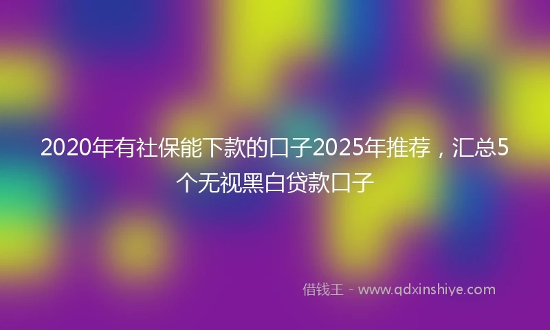 2020年有社保能下款的口子2025年推荐，汇总5个无视黑白贷款口子