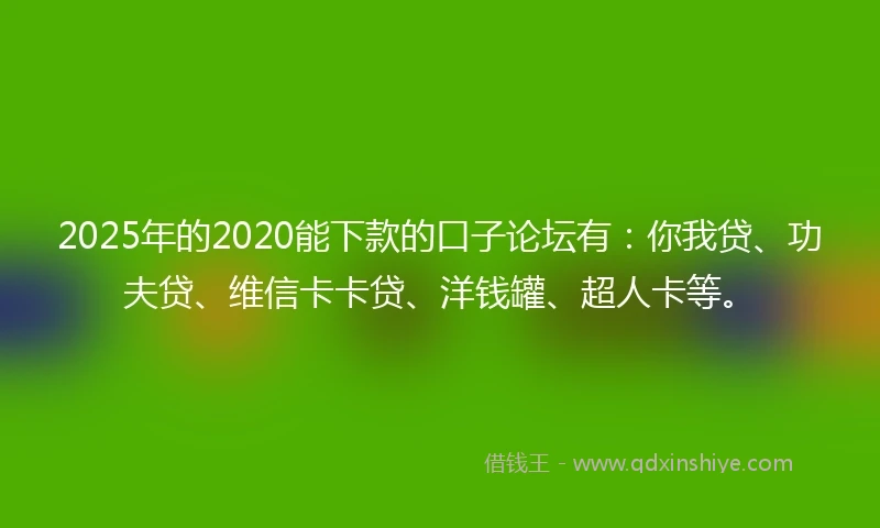 2025年的2020能下款的口子论坛有：你我贷、功夫贷、维信卡卡贷、洋钱罐、超人卡等。