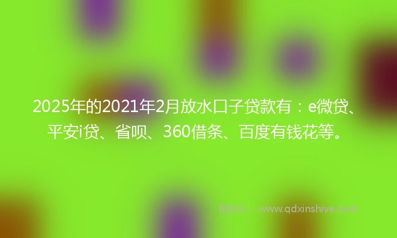 2025年的2021年2月放水口子贷款有：e微贷、平安i贷、省呗、360借条、百度有钱花等。