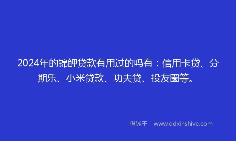 2024年的锦鲤贷款有用过的吗有：信用卡贷、分期乐、小米贷款、功夫贷、投友圈等。